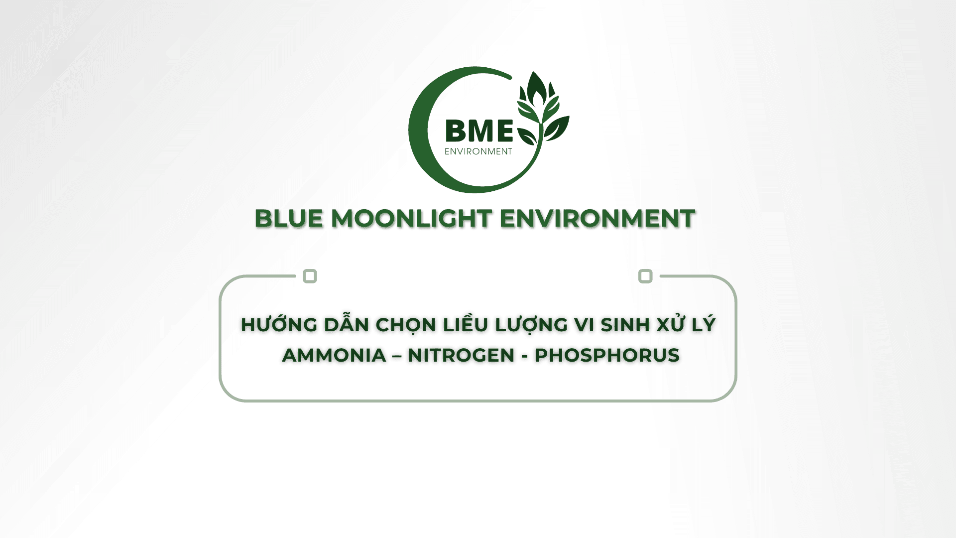 HƯỚNG DẪN CHỌN LIỀU LƯỢNG VI SINH XỬ LÝ AMMONIA – NITROGEN - PHOSPHORUS